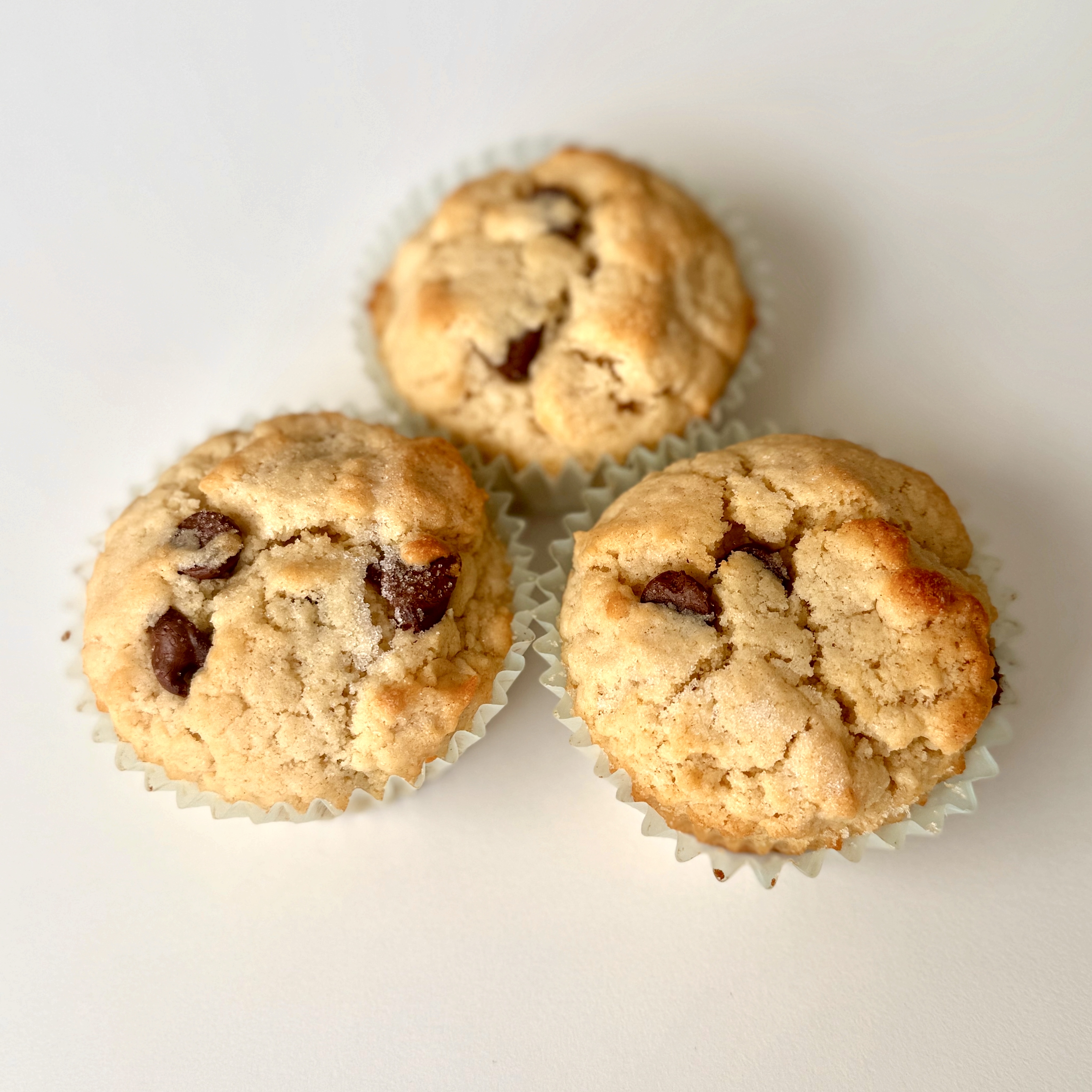 Chocolate Chip Muffins